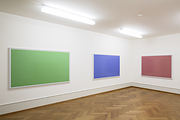 Adrian Sauer, 16.777216 Farben in rot, grün und blau – grün Photoforum Pasquart, Biel/Bienne – Installationsansicht 